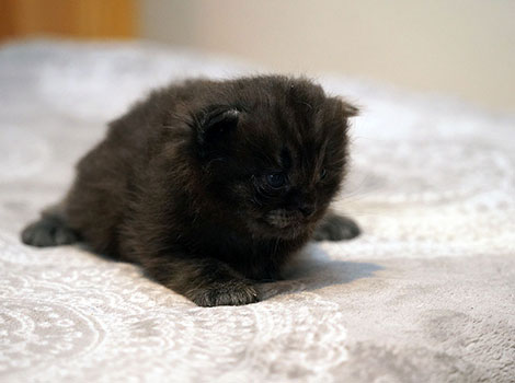 Vadim am 27. Januar 2026